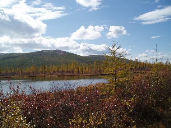 siberian-landscape[1]